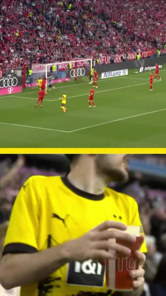 勇者無懼！這是真多特球迷！在拜仁球迷區一個人肆意慶祝！